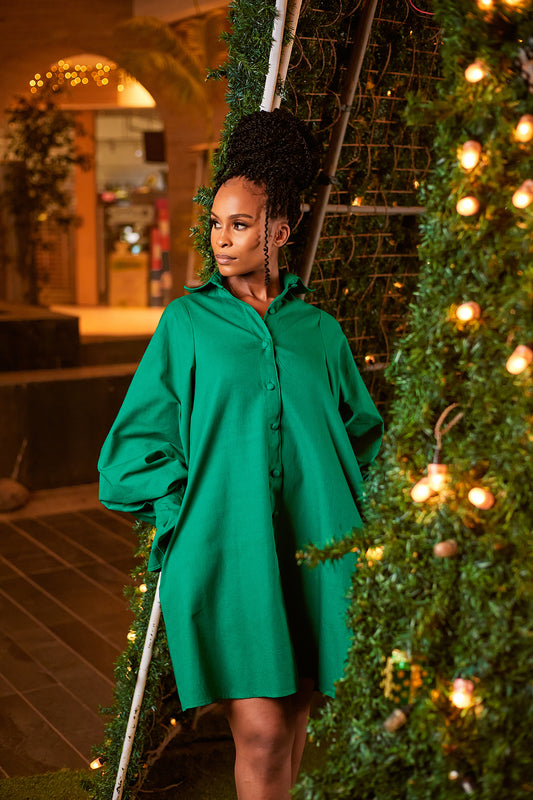 “Eco Chic" A line Shirt Dress- Green