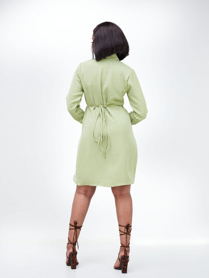 "Mamma Mia" Shawl Collar Wrap Dress- Sage Green